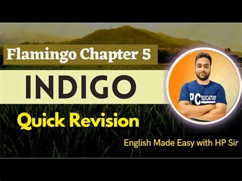 INDIGO Flamingo Chapter 5 All Main Points - YouTube