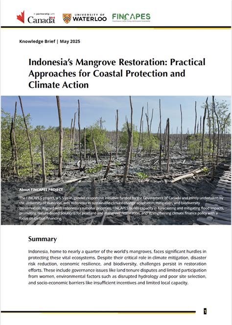 Indonesia’s Mangrove Restoration: Practical Approaches for Coastal ... - raincitystudios.com