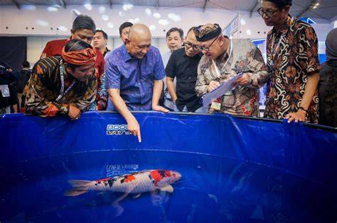 Indonesia Berpotensi Pimpin Pasar Ikan Hias Internasional - raincitystudios.com
