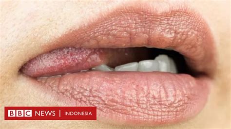INDONESIA POTN Seks oral memek & kedai martabak manis cara mudah cek stamina pemain kulit kenyal telusuri referensi seni rupa adegan tembak rooftop image 1