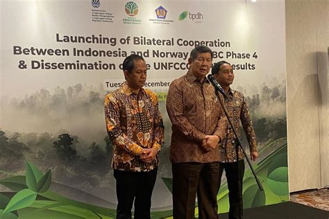 Indonesia Rencanakan Reforestasi Masif untuk Lahan … - raincitystudios.com