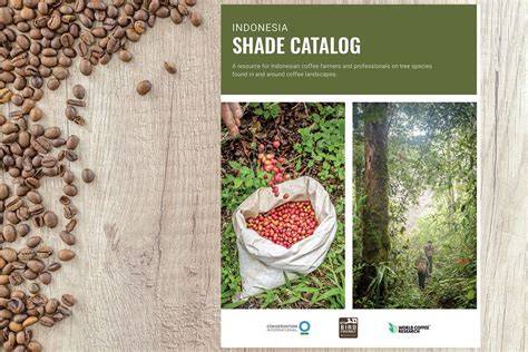 Indonesia Shade Catalog empowers agroforestry in … - raincitystudios.com