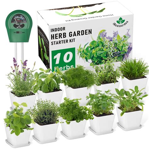 Indoor Herb Garden At-Home Kit - Virgin Gifts - raincitystudios.com