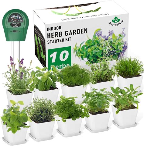 Indoor Herb Garden Starter Kit - (5 Variety) - raincitystudios.com