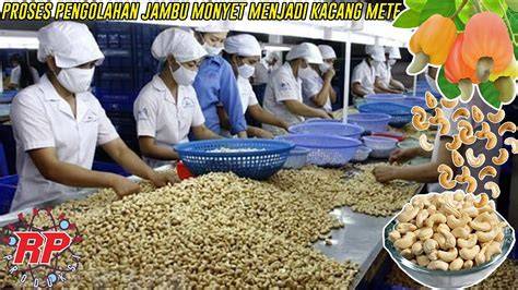Industri kacang mete Vietnam menghadapi tantangan terkait pasokan bahan ... - raincitystudios.com