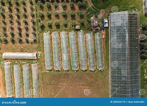 Industrial clusters as hothouses for nascent entrepreneurs ... - Springer - wintechmobiles.com