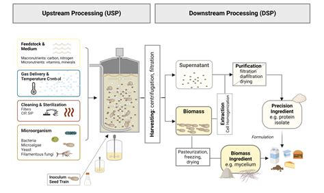 Industrial Fermentation: Principles, Processes, and Products - wintechmobiles.com