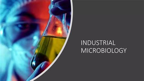 Industrial Microbiology - an overview | ScienceDirect Topics - wintechmobiles.com