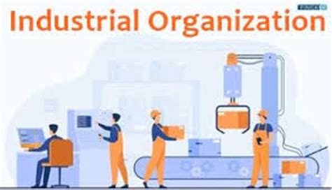 Industrial Organization - an overview | ScienceDirect Topics - coolestguyplanet.net