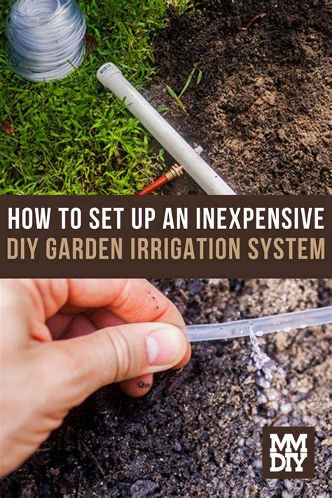 Inexpensive Irrigation Methods for Home Landscaping: DIY Ideas for ... - raincitystudios.com