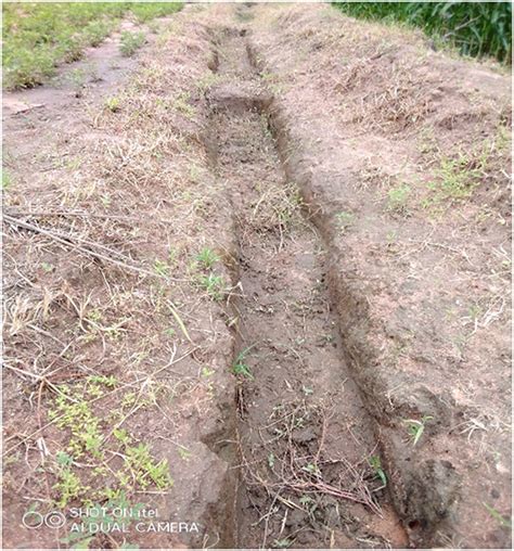 Infiltration and planting pits for improved water management and maize ... - raincitystudios.com