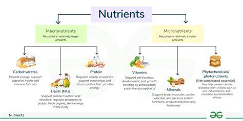 Influence of different macronutrient solutions and growth ... - Springer - raincitystudios.com