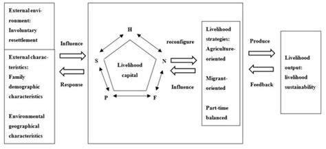 Influence pathways of village livelihood capital on the idle homesteads ... - raincitystudios.com