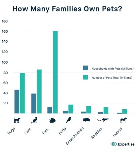 INFOGRAPHIC: Most of world owns pets; Dogs are tops