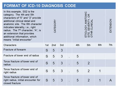 INFOGRAPHIC Format Of ICD10 Diagnosis Code