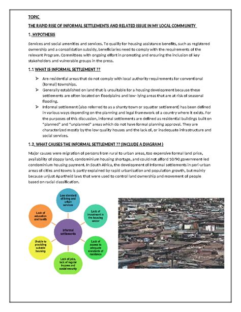 Informal settlements: Domain report - African Cities - wintechmobiles.com