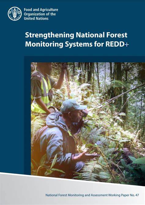 Information note: Strengthening national forest monitoring systems ... - raincitystudios.com