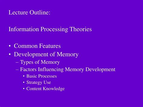 Information Processing Theories | Adolescent Psychology - wintechmobiles.com