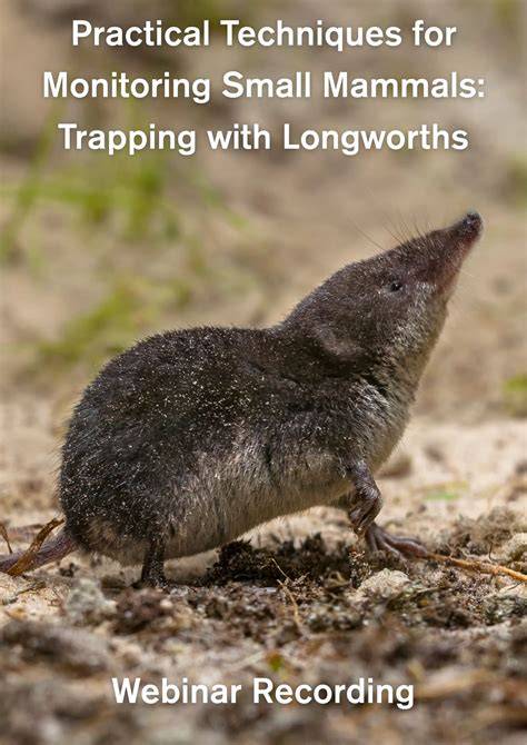 Information System of Ecological Monitoring “Small Mammals as ... - raincitystudios.com