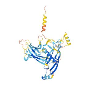 INHBE Gene - GeneCards INHBE Protein INHBE Antibody