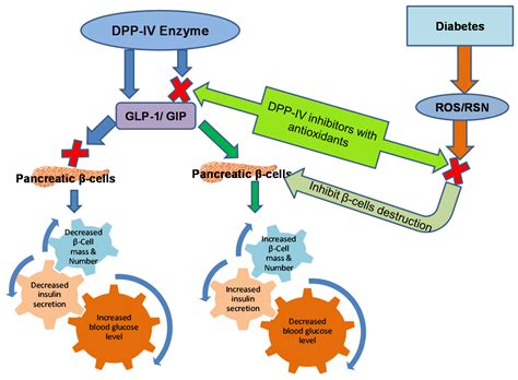 INHIBITORY DIPEPTYDYLU PEPTYDAZY 4 (DPP-4) W LECZENIU …