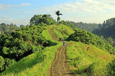 Ini Dia Rute-Rute Asyik Wisata Bersepeda - raincitystudios.com