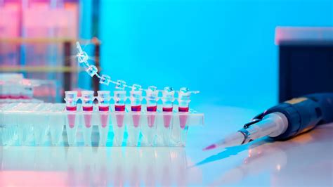 Ini Tahapan Identifikasi Tes DNA - wintechmobiles.com