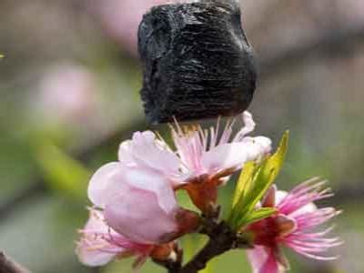 Inilah Material Paling Ringan Didunia - wintechmobiles.com