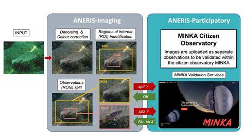 Innovating marine biology observation systems - raincitystudios.com