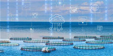 Innovations and Application of Operational Ocean Data Products for ... - raincitystudios.com