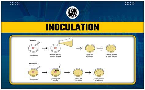 Inoculation techniques – vanadurgi_foundation - raincitystudios.com