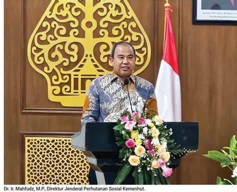 INOVASI DAN STRATEGI DITJEN PERHUTANAN … - raincitystudios.com