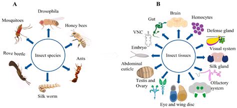 Insect Behavior: Key Concepts And Applications - muktibox.com