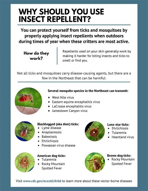 Insect Behavior Essentials - muktibox.com