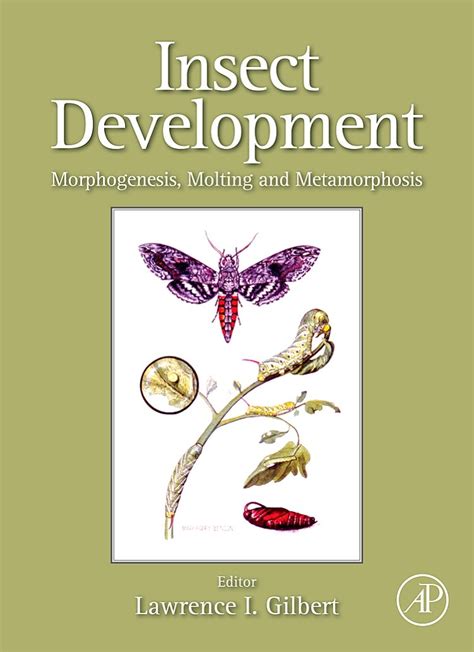 INSECT DEVELOPMENT: MORPHOGENESIS, MOLTING AND By …