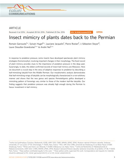 Insect mimicry of plants dates back to the Permian - Nature - muktibox.com