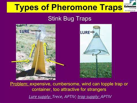 Insect Pheromone Traps royalty-free images - raincitystudios.com