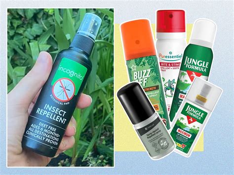 Insect Repellent products online at Clicks - raincitystudios.com