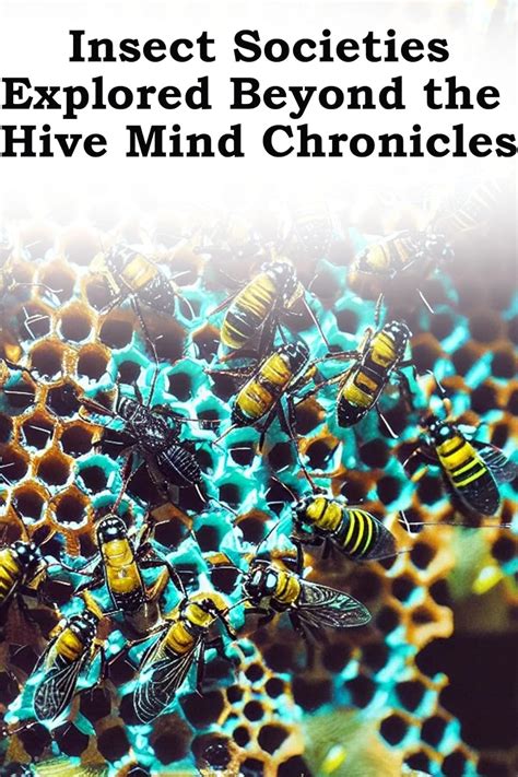 Insect societies | Science | Research Starters - EBSCO - muktibox.com