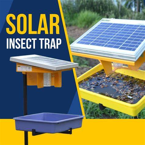 Insect Trap - Fruit Fly Trap Trader - Wholesaler / Distributor from ... - raincitystudios.com