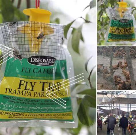 Insect traps: natural solutions for the garden - pheromones and ... - raincitystudios.com