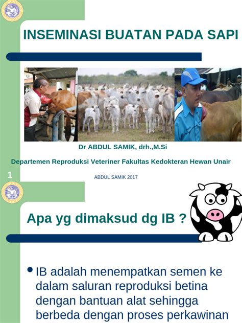 Inseminasi Buatan Sapi: Metode dan Praktik | PDF - Scribd - muktibox.com
