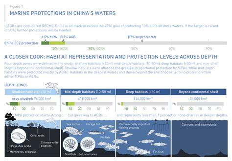 INSIGHT INTO CHINA’S MARINE CONSERVATION EFFOR - raincitystudios.com
