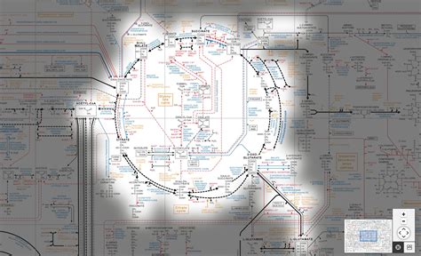 Insights into the physiology, biochemistry, and metabolic pathways of ... - raincitystudios.com
