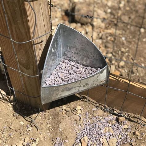Insoluble Grit for Ducks: Complete Guide - Raising Ducks - raincitystudios.com