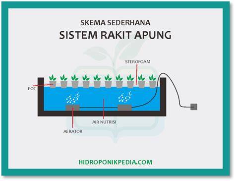 Instalasi Sistem Rakit Apung Hidroponik | PDF - Scribd - raincitystudios.com