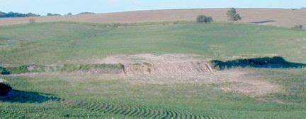 Install and maintain terraces for conservation - raincitystudios.com