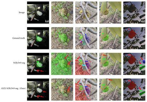 Instance Segmentation of Sugar Apple - MDPI - raincitystudios.com