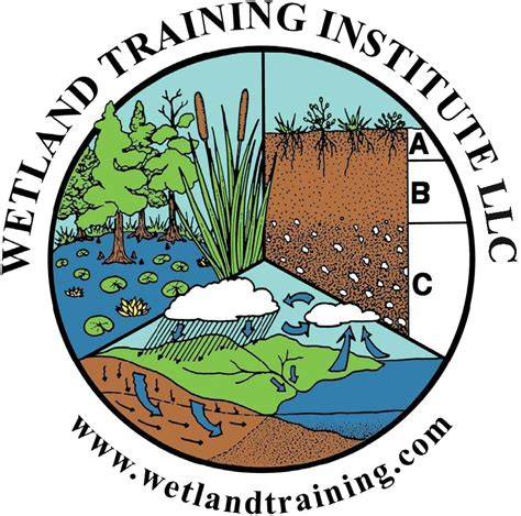 Institute for Wetland & Environmental Education & Research - raincitystudios.com