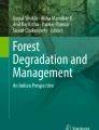 Institutional dynamics in community-based forest restoration: a ... - raincitystudios.com